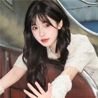 使君有妇